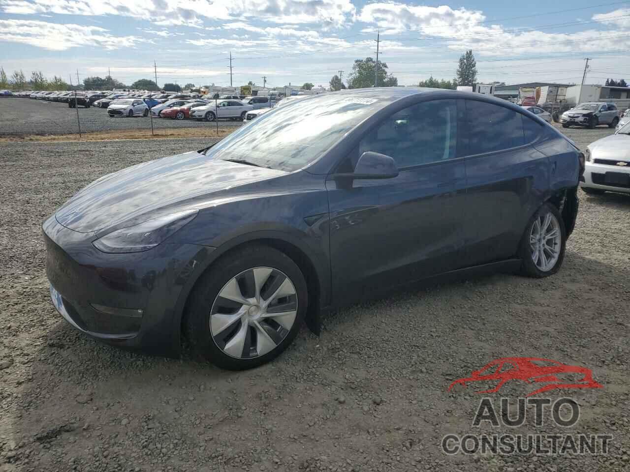 TESLA MODEL Y 2024 - 7SAYGDEE4RF063601