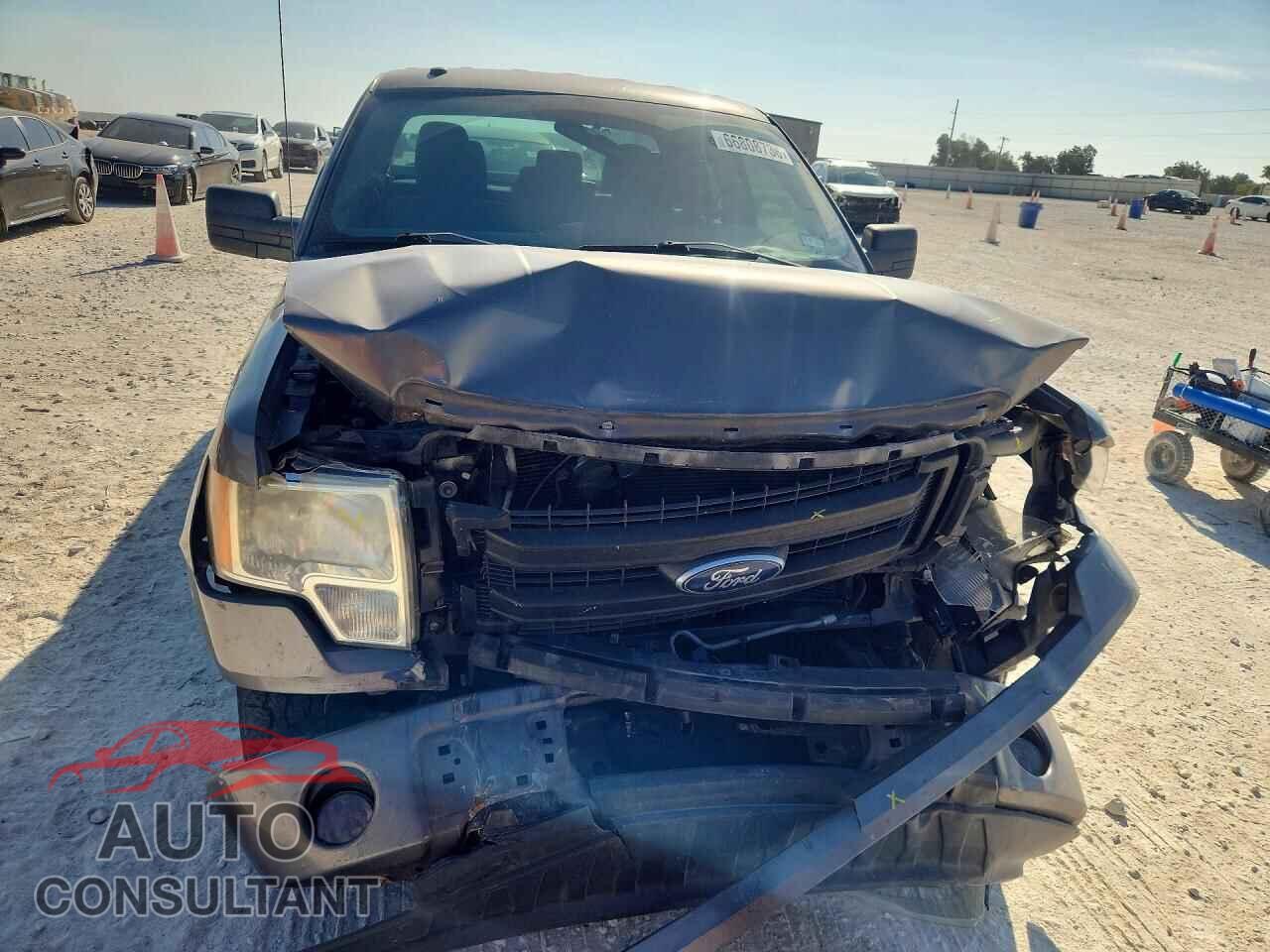 FORD F150 2013 - 1FTFX1CF5DFD81925
