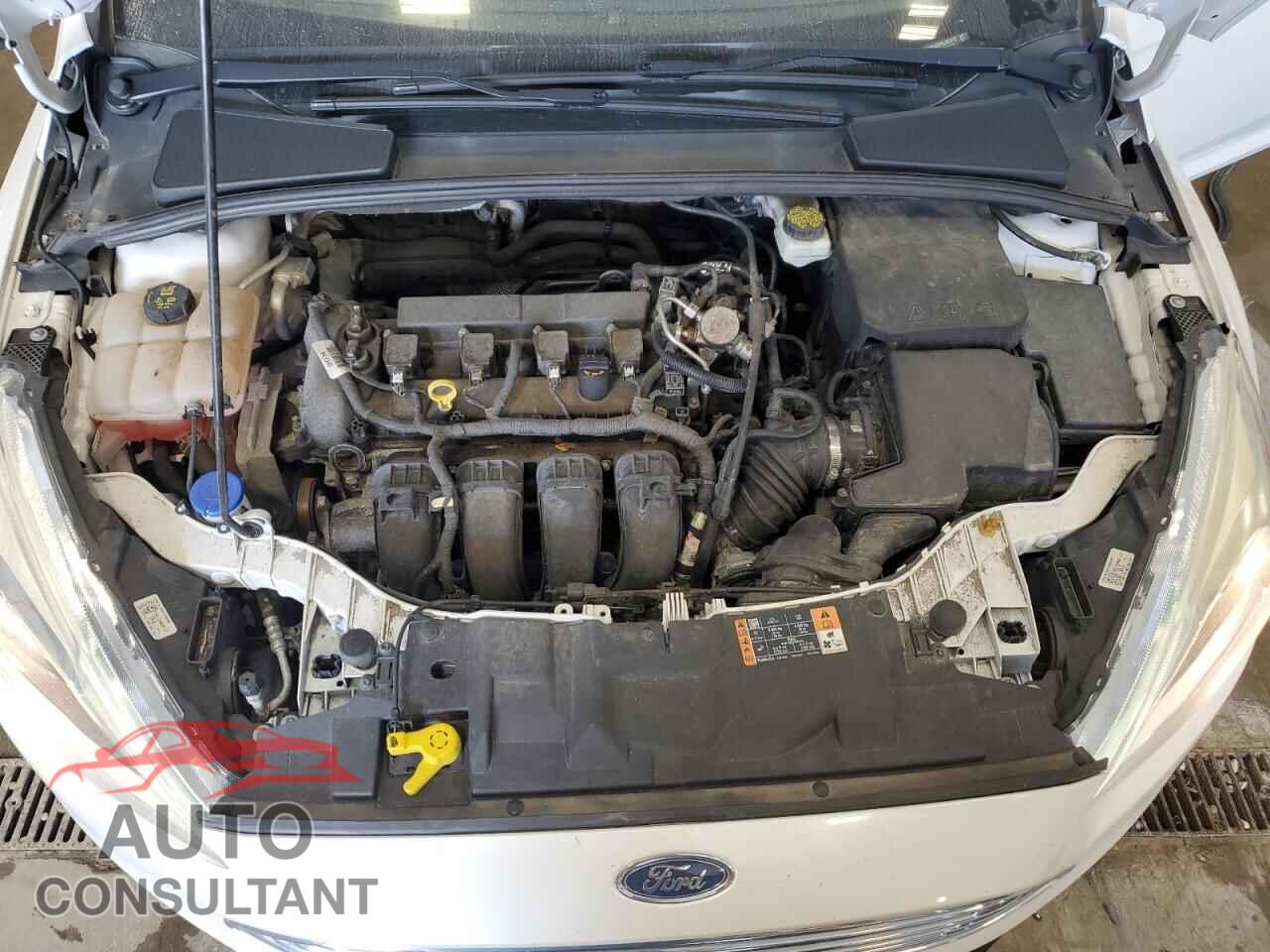 FORD FOCUS 2017 - 1FADP3J26HL331812