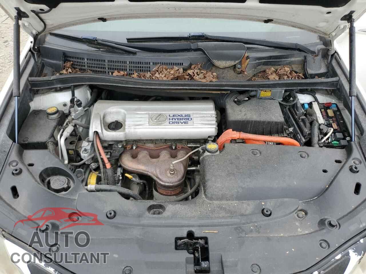 LEXUS HS 2010 - JTHBB1BA1A2028005