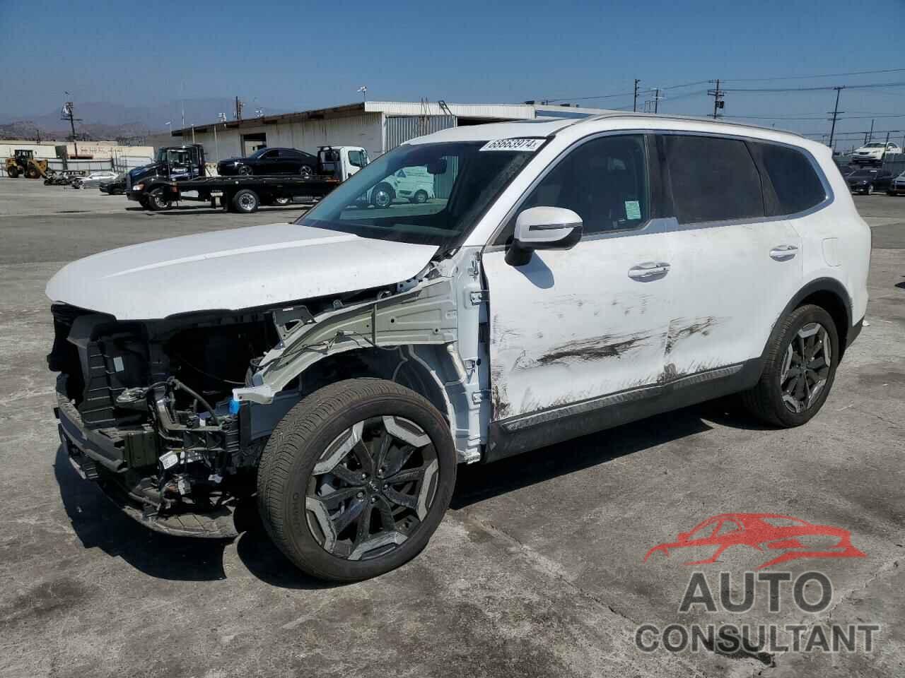 KIA TELLURIDE 2024 - 5XYP64GC6RG494537