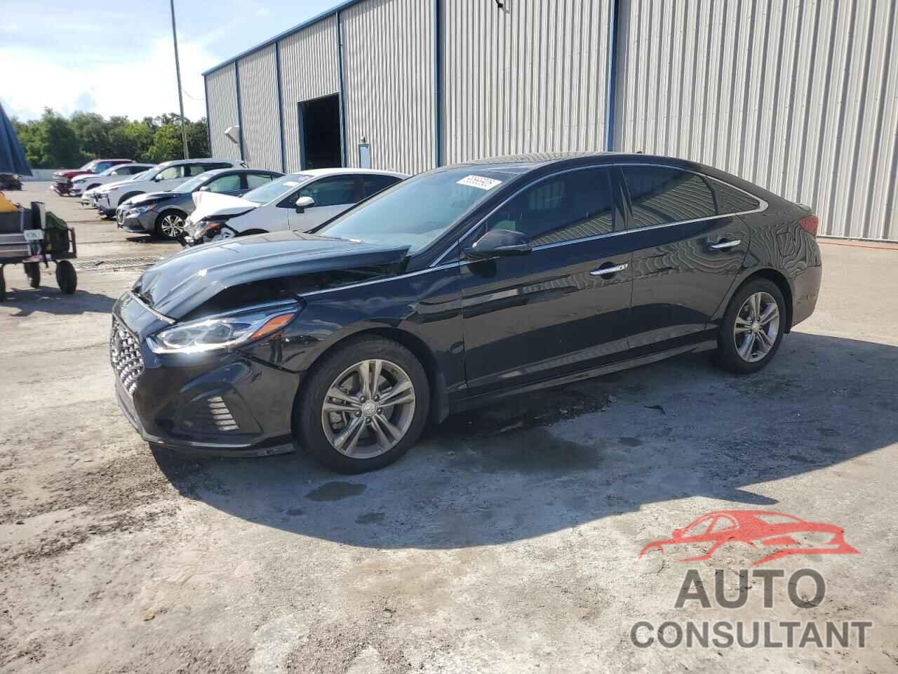 HYUNDAI SONATA 2019 - 5NPE34AF9KH805217