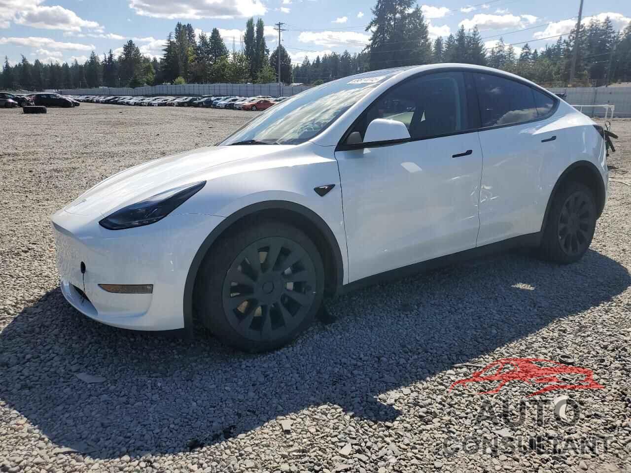 TESLA MODEL Y 2023 - 7SAYGDEEXPF893478