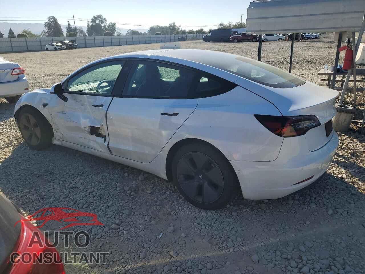 TESLA MODEL 3 2021 - 5YJ3E1EA2MF074923