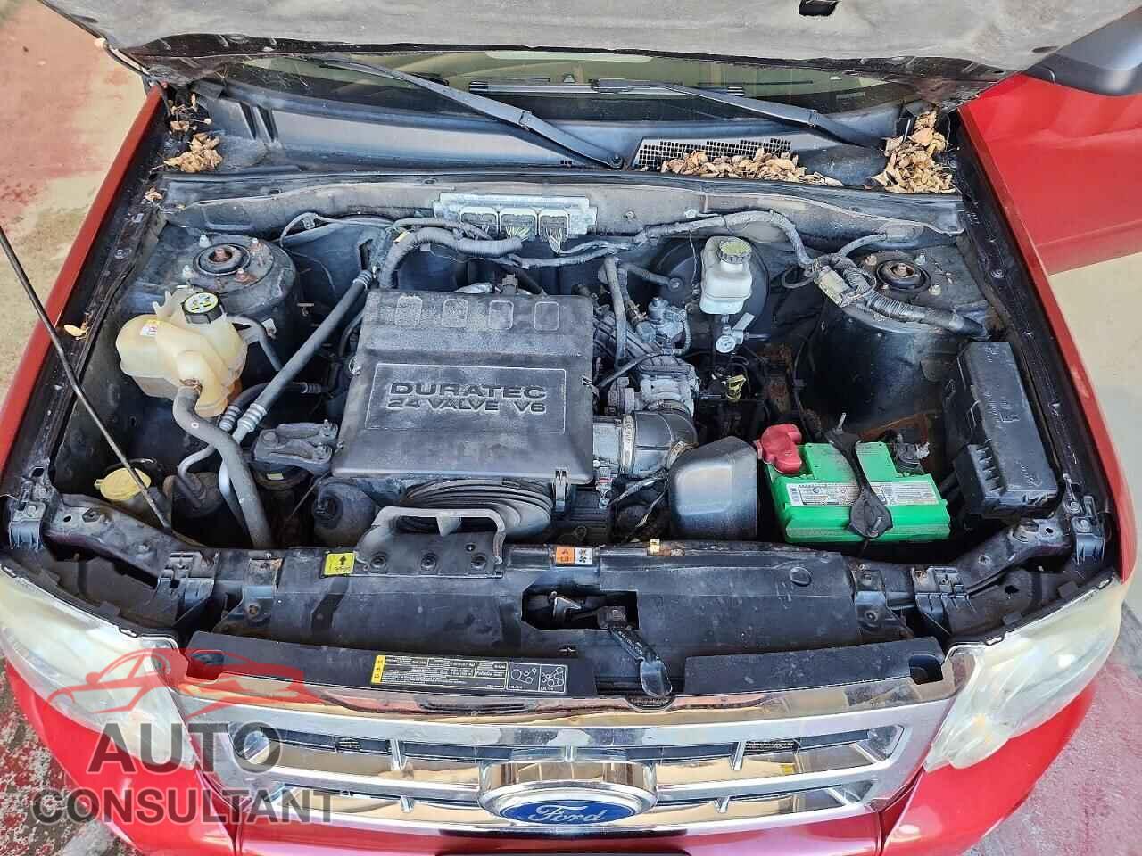 FORD ESCAPE 2011 - 1FMCU9DG9BKA66966