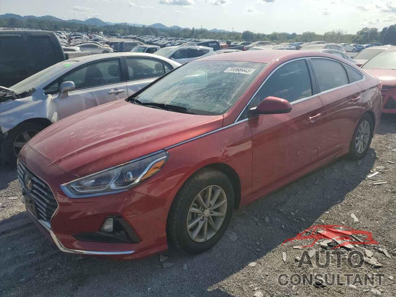 HYUNDAI SONATA 2019 - 5NPE24AF6KH774186