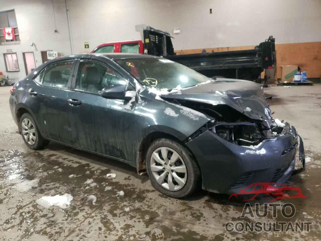 TOYOTA COROLLA 2016 - 2T1BURHE4GC656803