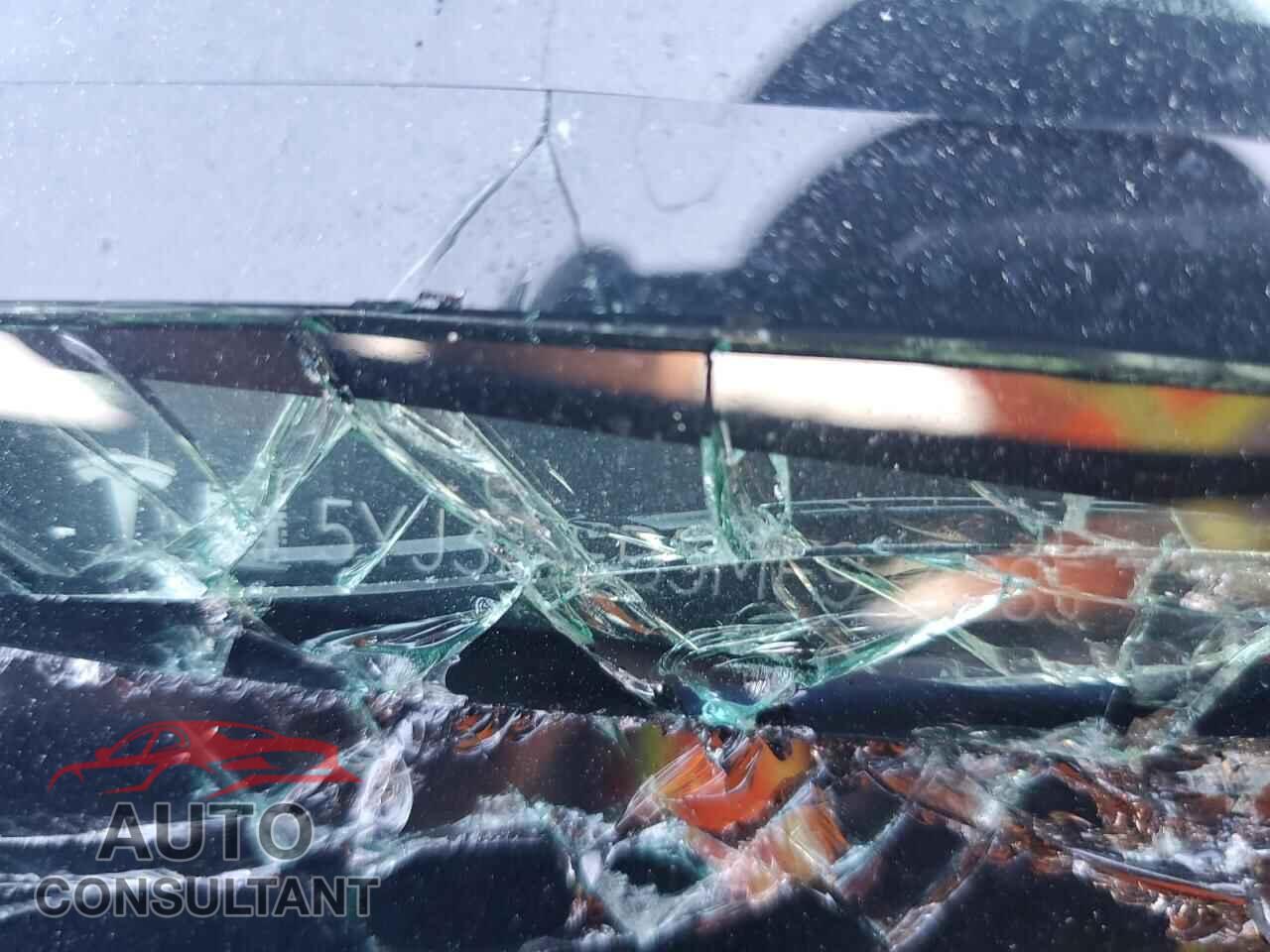 TESLA MODEL 3 2021 - 5YJ3E1EB5MF974885