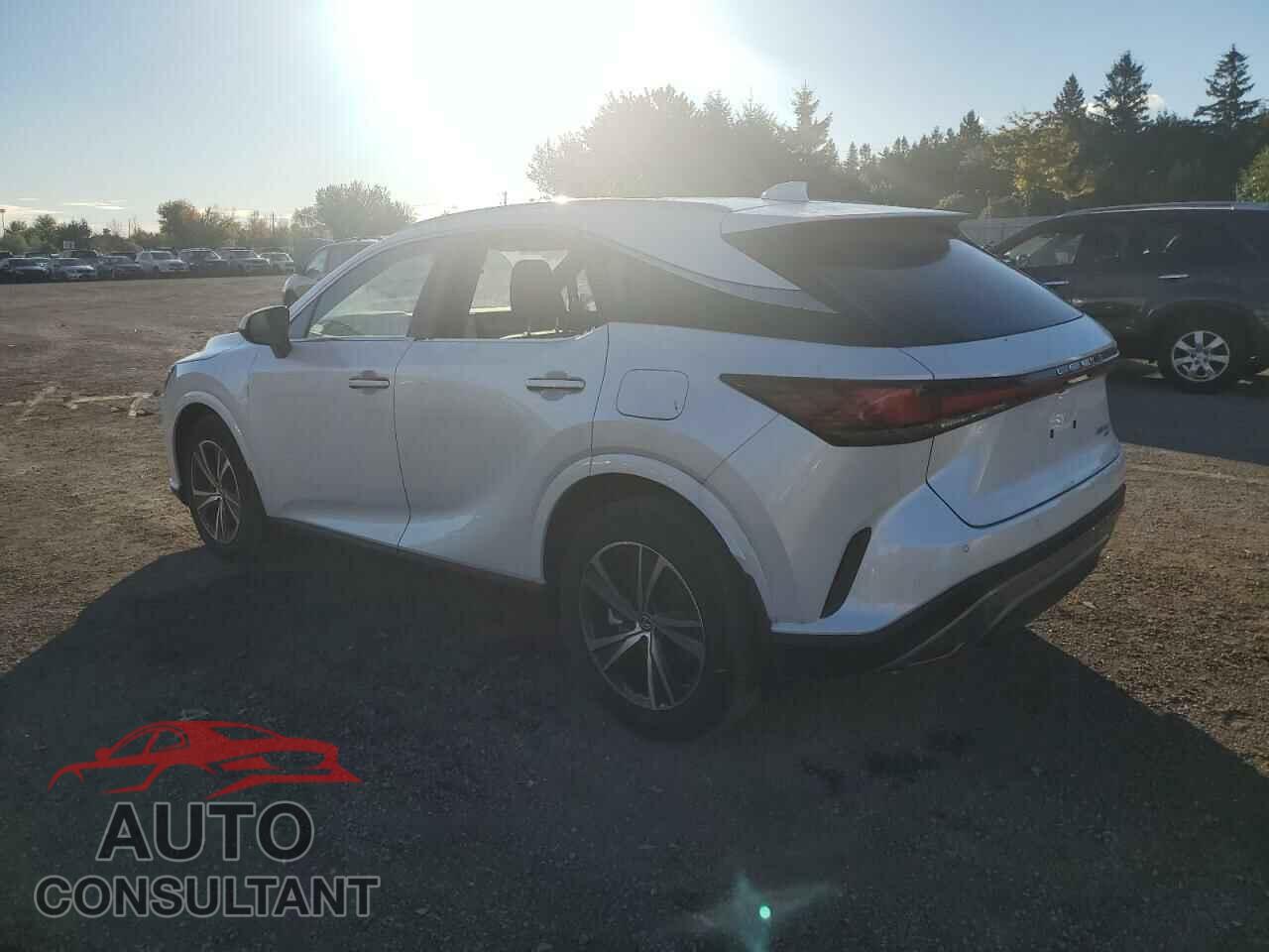 LEXUS RX350 2023 - 2T2BAMCA3PC010311