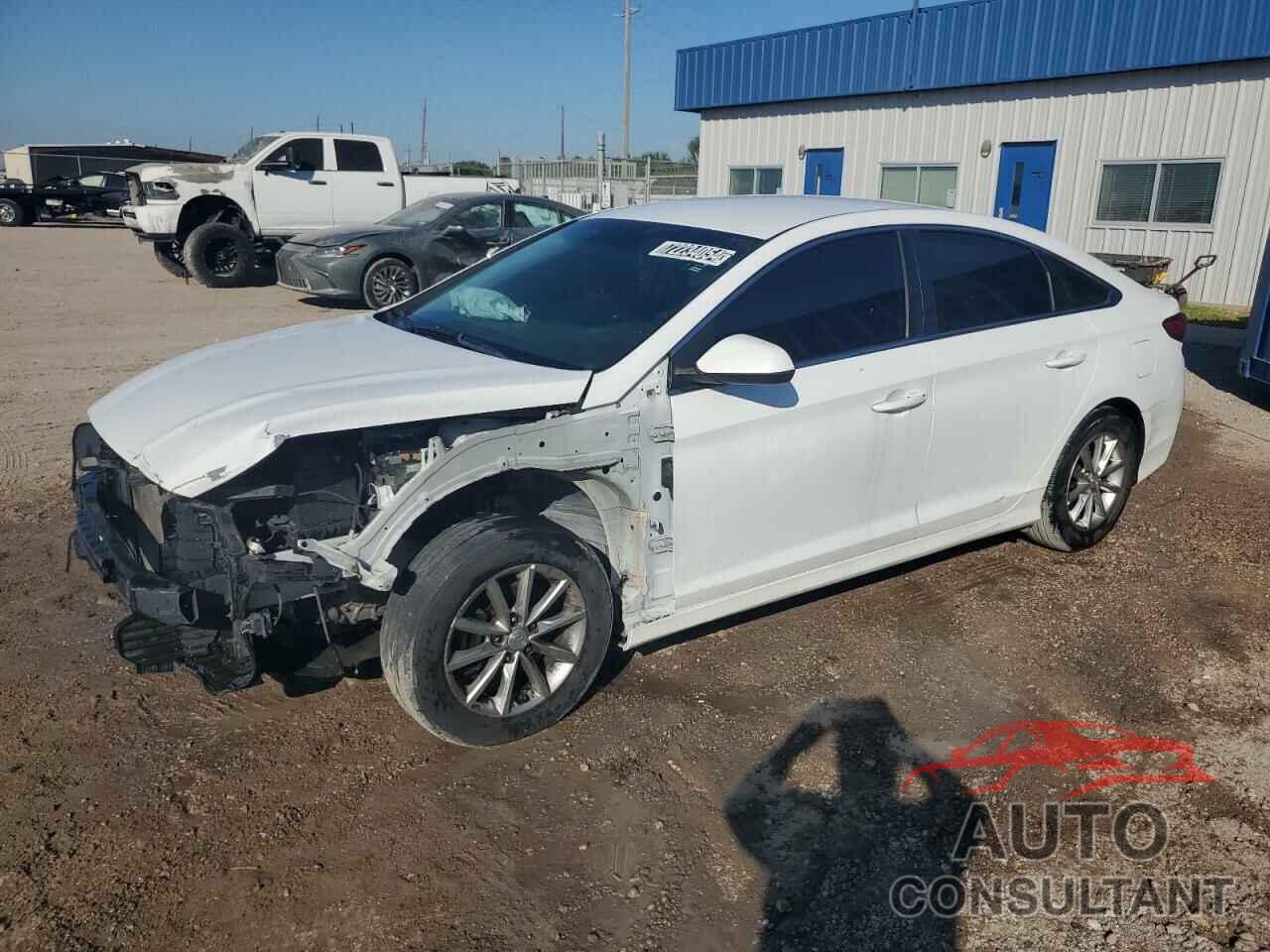HYUNDAI SONATA 2018 - 5NPE24AF5JH621457