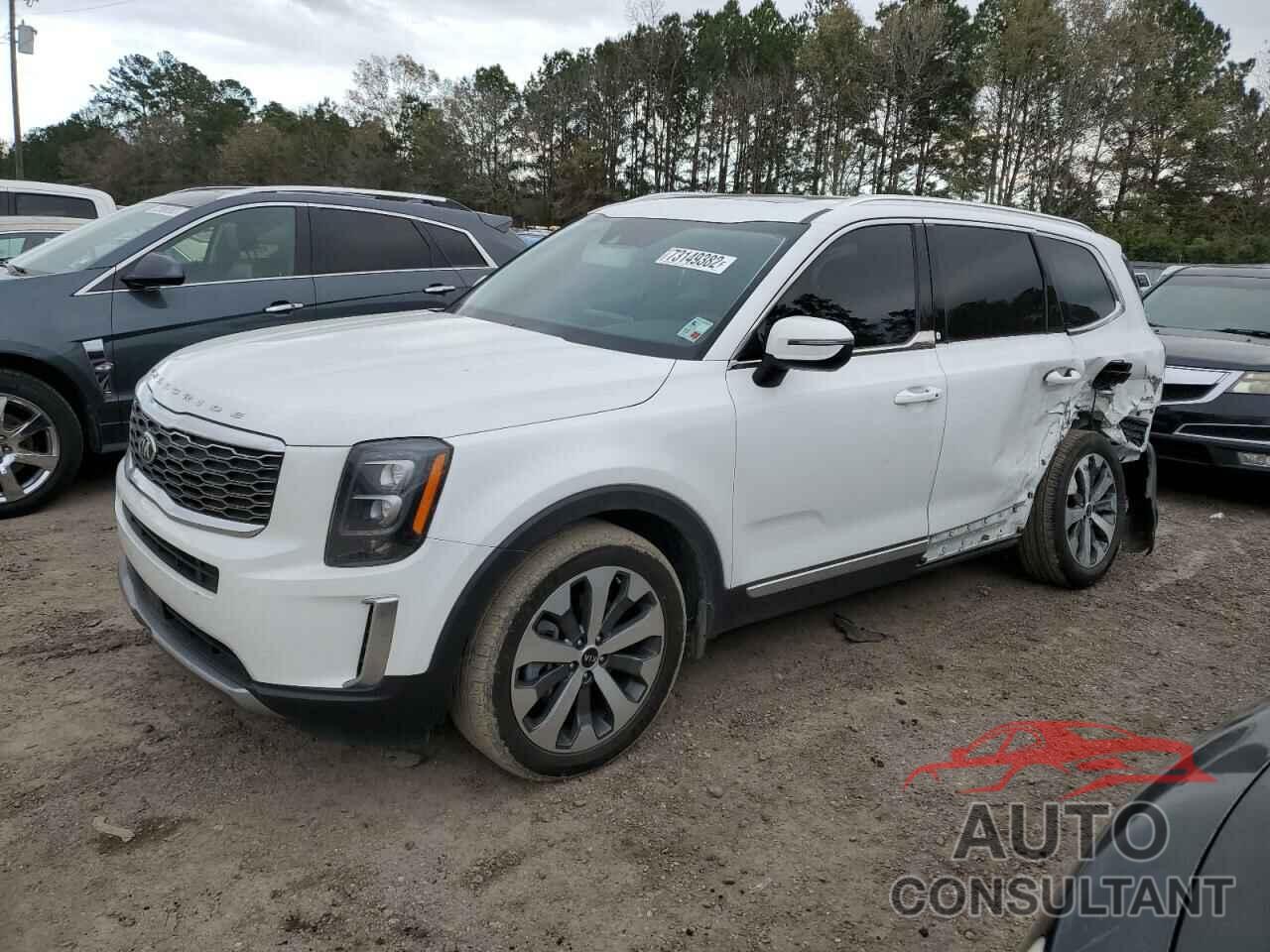 KIA TELLURIDE 2021 - 5XYP3DHCXMG104006