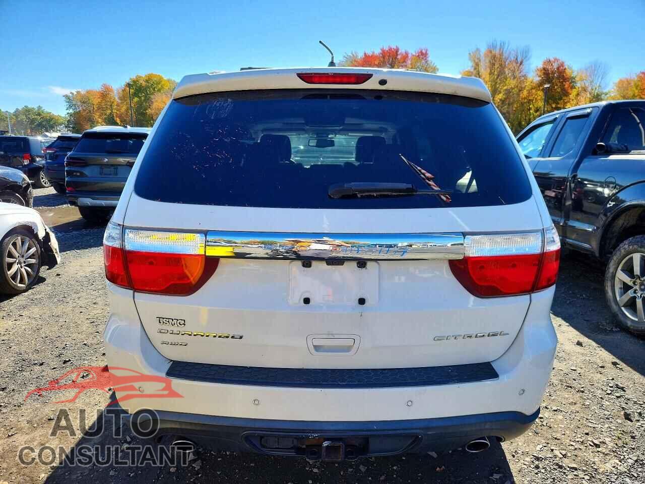 DODGE DURANGO 2011 - 1D4SE5GT4BC695613