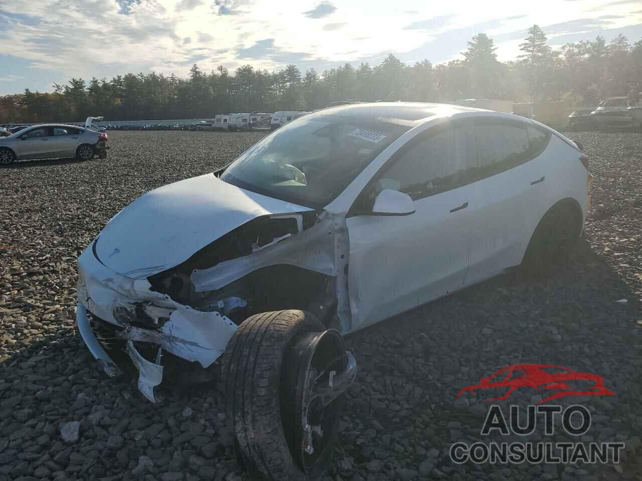 TESLA MODEL Y 2023 - 7SAYGDEE3PF746127