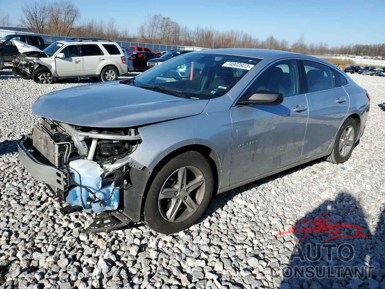 CHEVROLET MALIBU 2019 - 1G1ZB5ST3KF145063