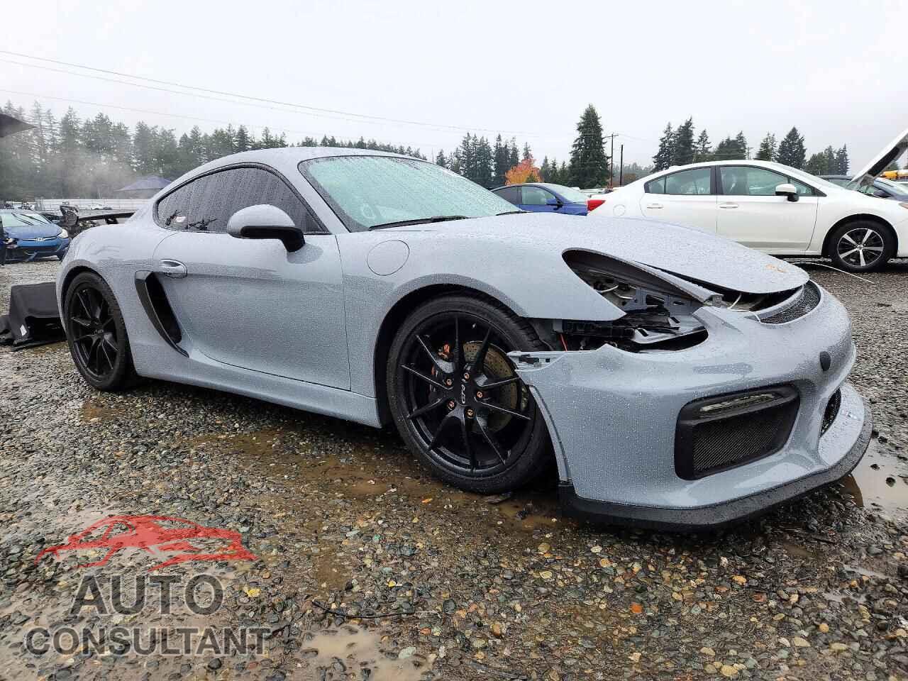 PORSCHE CAYMAN 2015 - WP0AA2A82FK164123