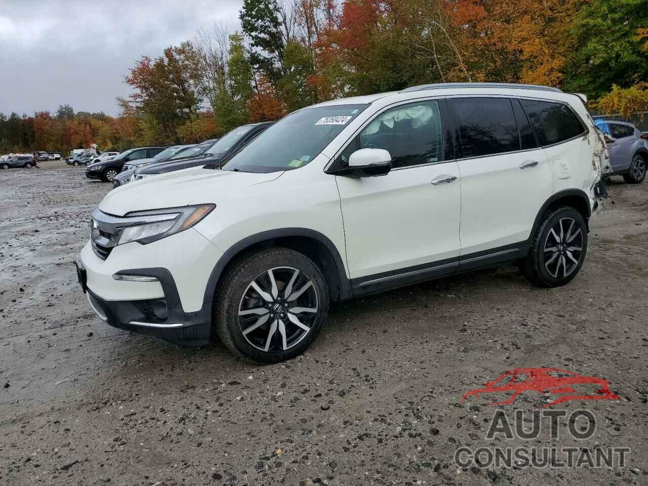 HONDA PILOT 2019 - 5FNYF6H6XKB055797