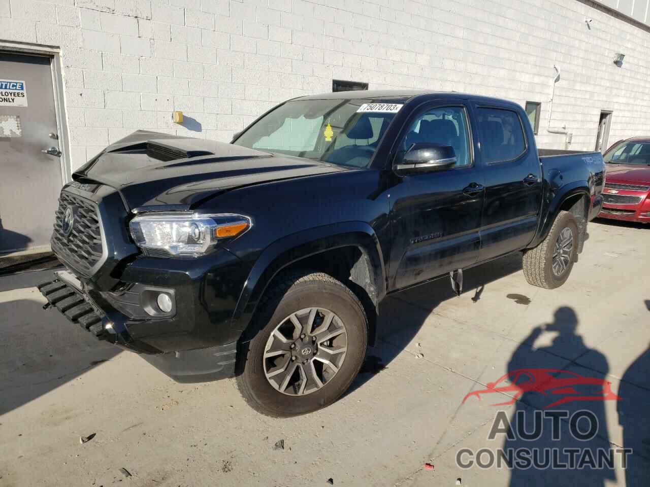 TOYOTA TACOMA 2023 - 3TMCZ5AN6PM562048