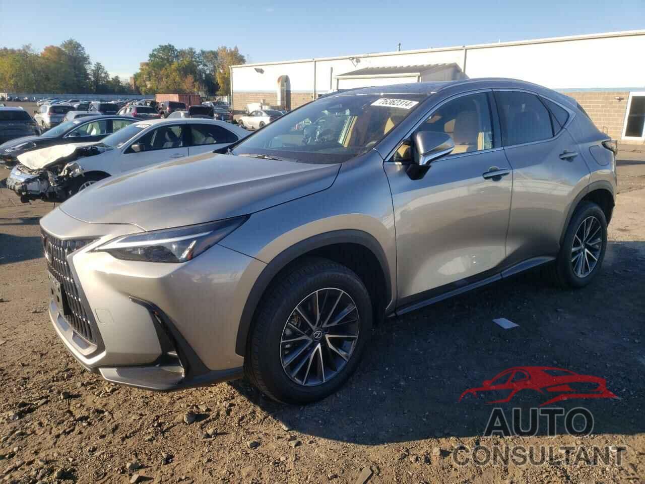 LEXUS NX 350 BAS 2024 - 2T2AGCEZ5RC044194