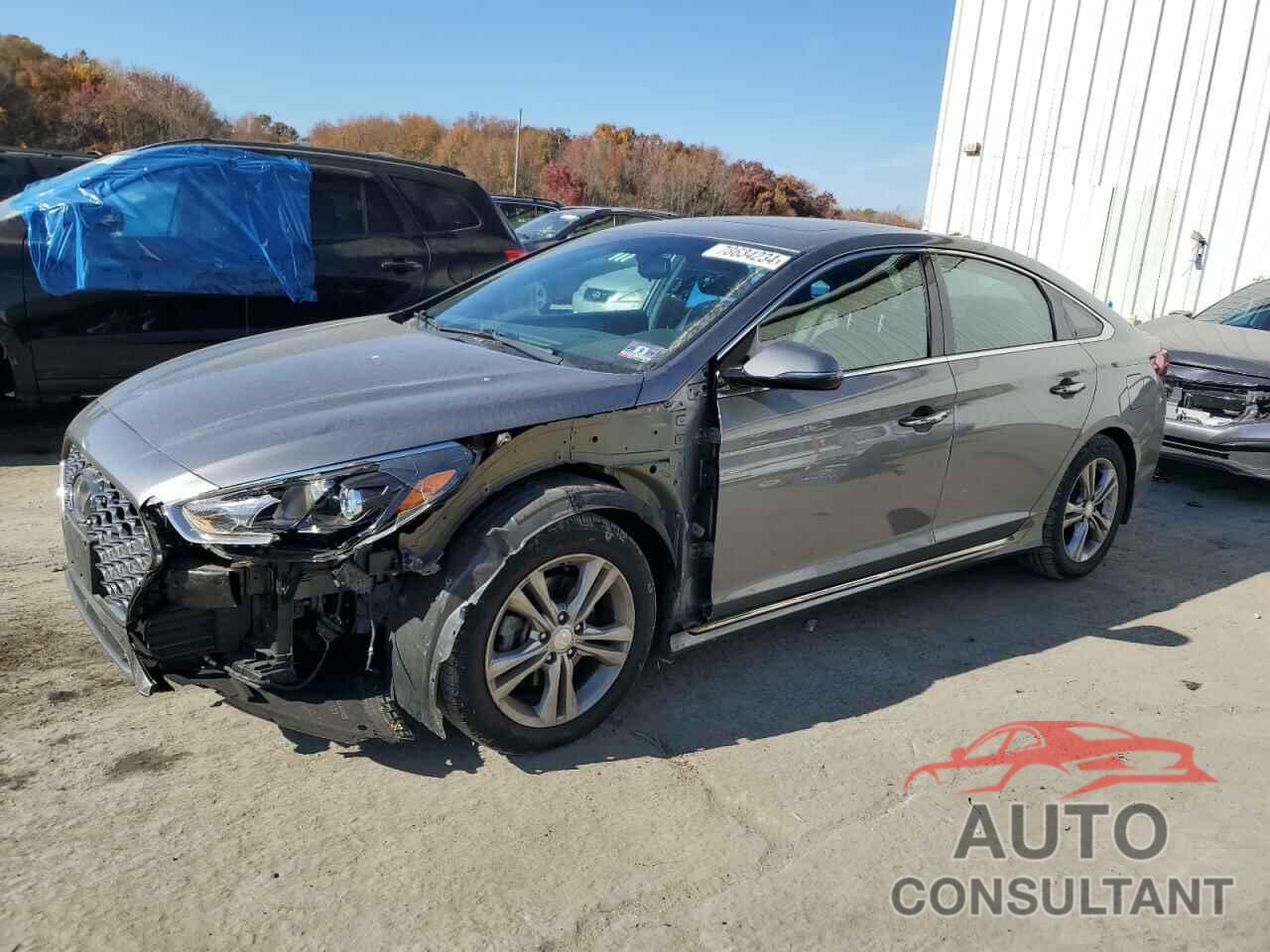 HYUNDAI SONATA 2019 - 5NPE34AF2KH811165