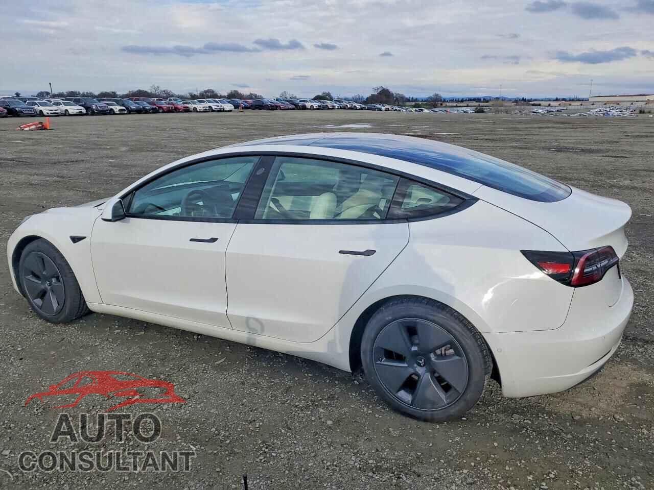 TESLA MODEL 3 2021 - 5YJ3E1EB8MF876160