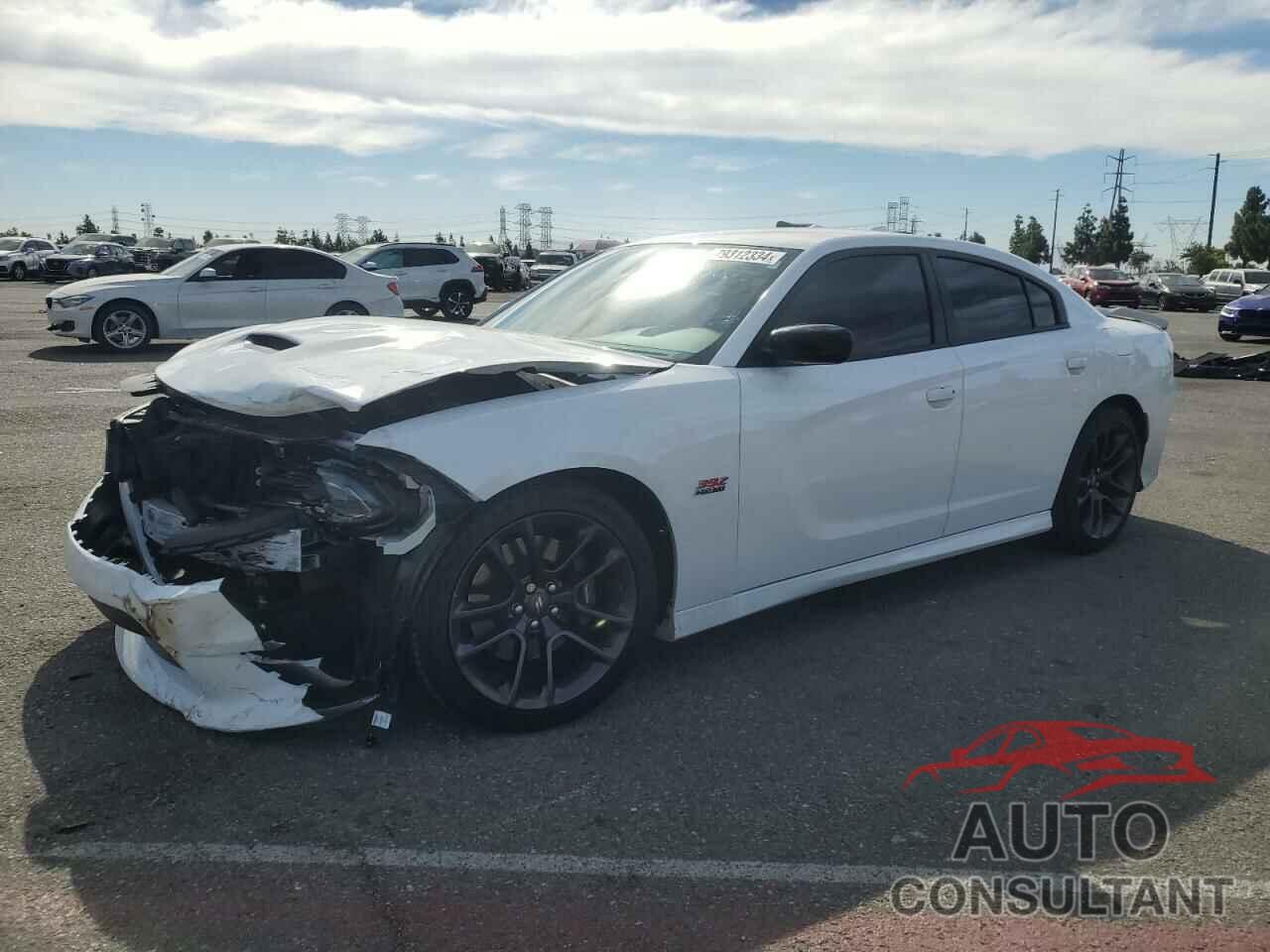 DODGE CHARGER 2023 - 2C3CDXGJ2PH503418