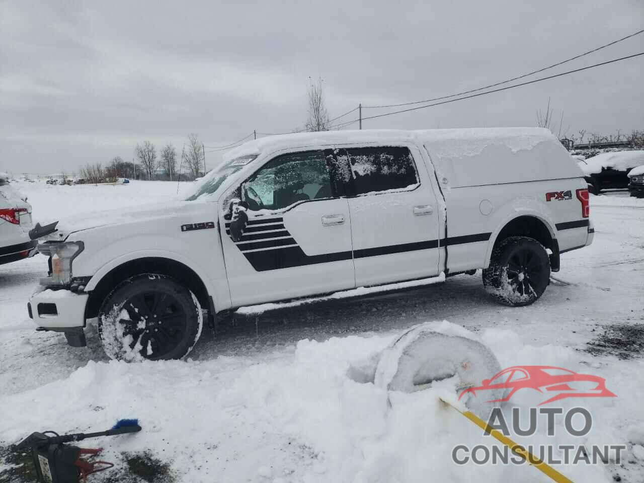 FORD F-150 2020 - 1FTFW1E55LFC60477
