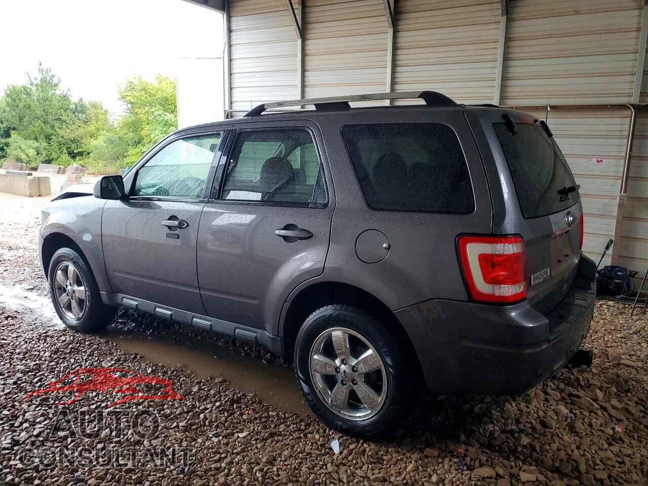 FORD ESCAPE 2011 - 1FMCU0EG3BKB88569