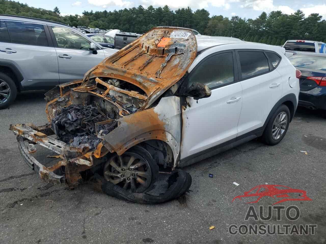 HYUNDAI TUCSON 2018 - KM8J2CA42JU659625