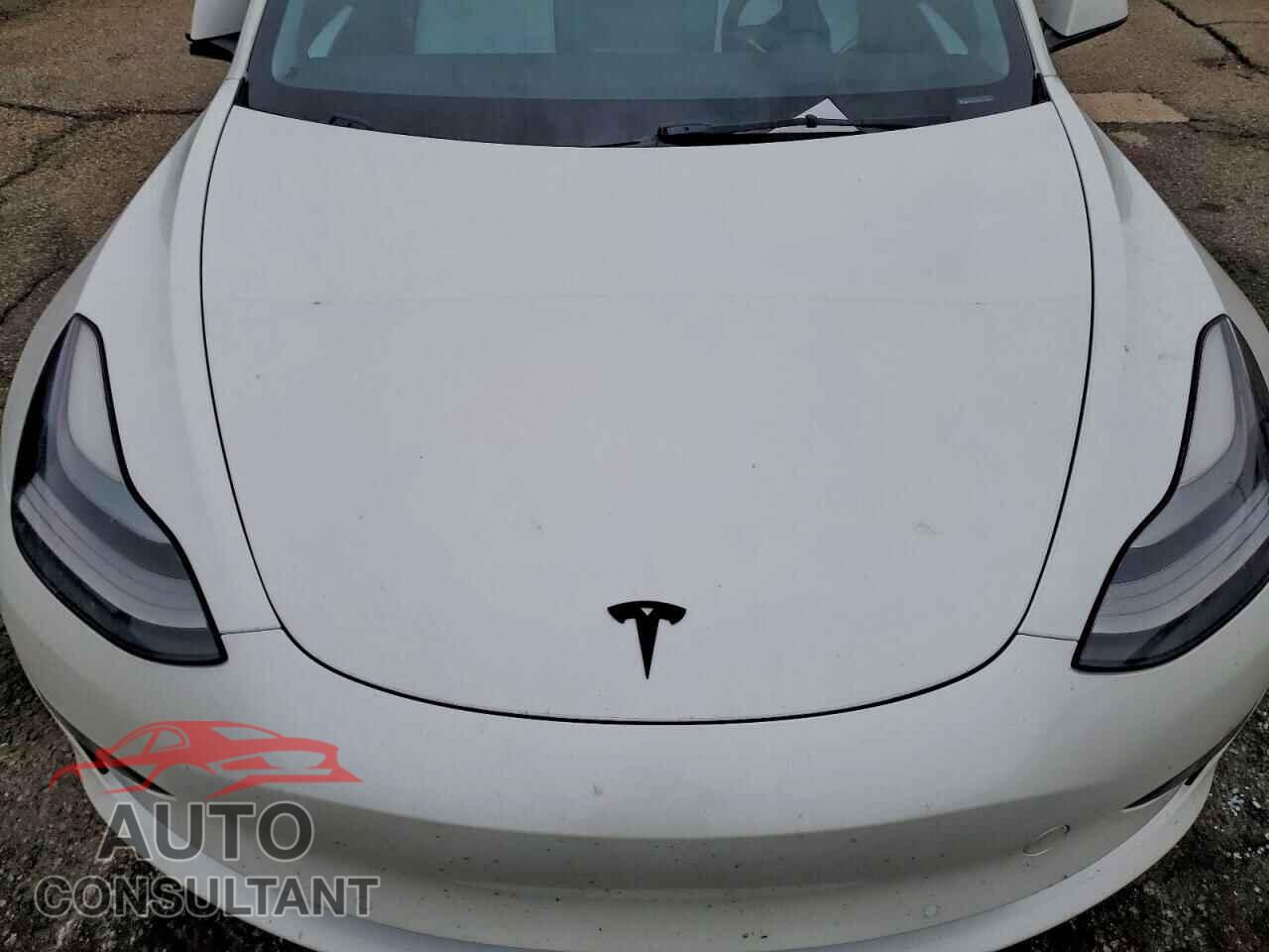 TESLA MODEL 3 2021 - 5YJ3E1EC3MF095989