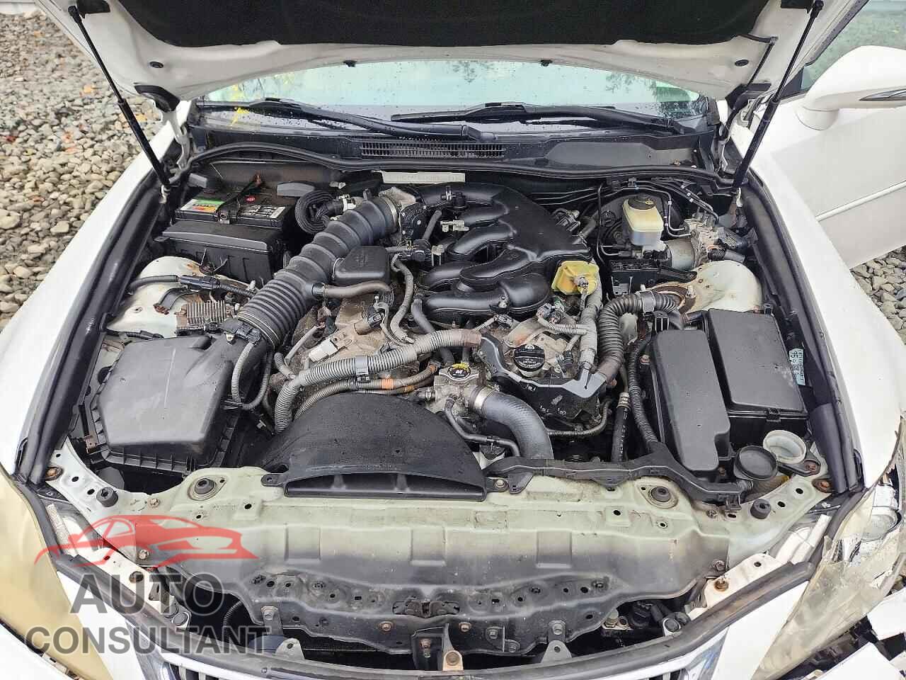 LEXUS IS 2010 - JTHCF5C24A2033741