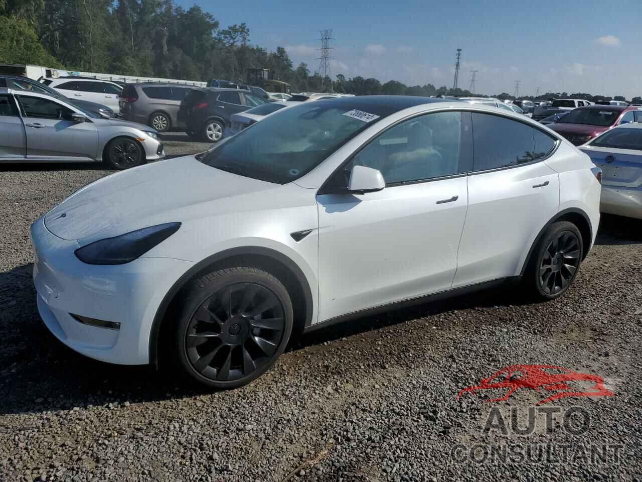 TESLA MODEL Y 2024 - 7SAYGDEE1RA262814