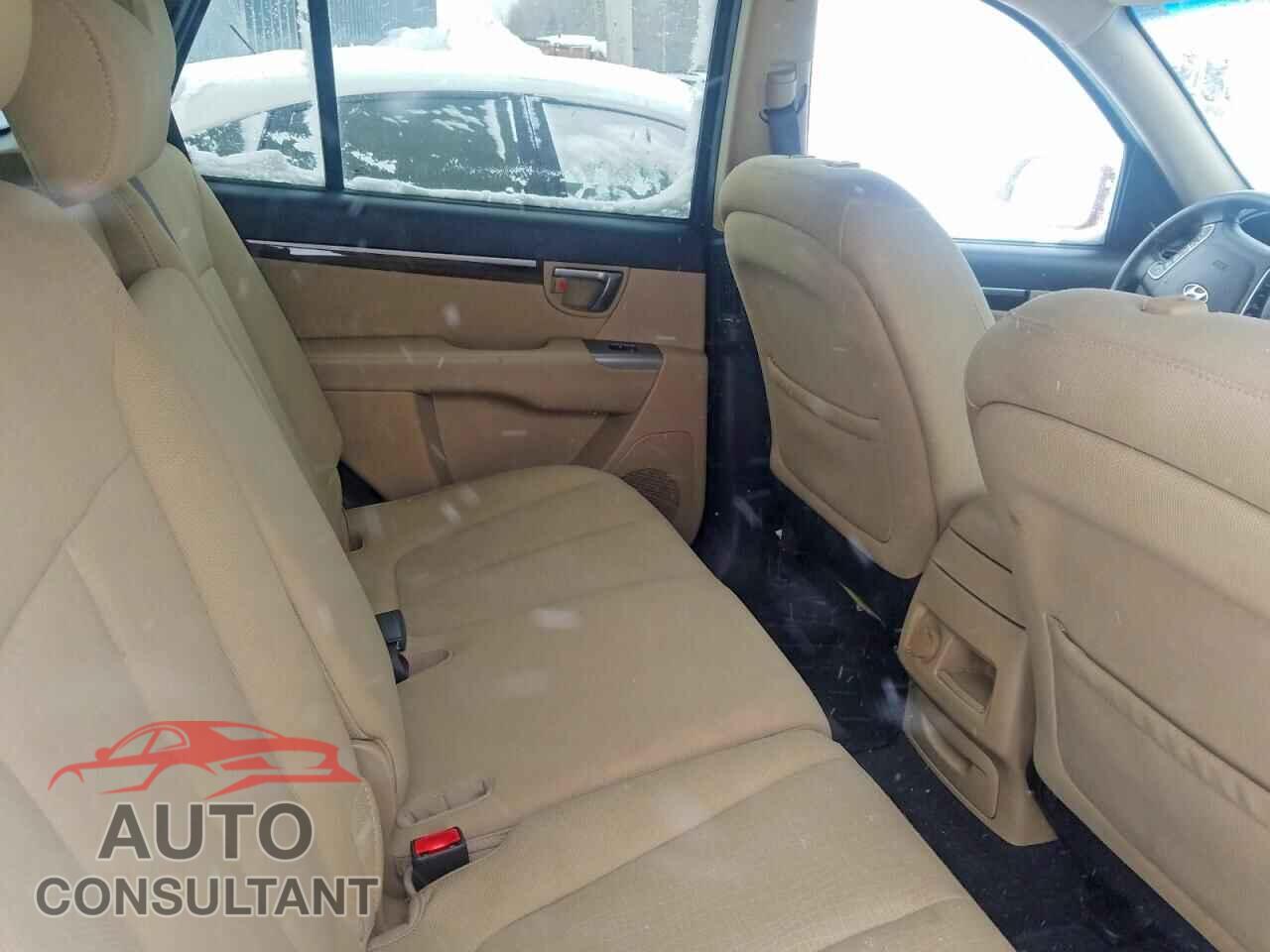 HYUNDAI SANTA FE 2010 - 5NMSGDAG1AH371015