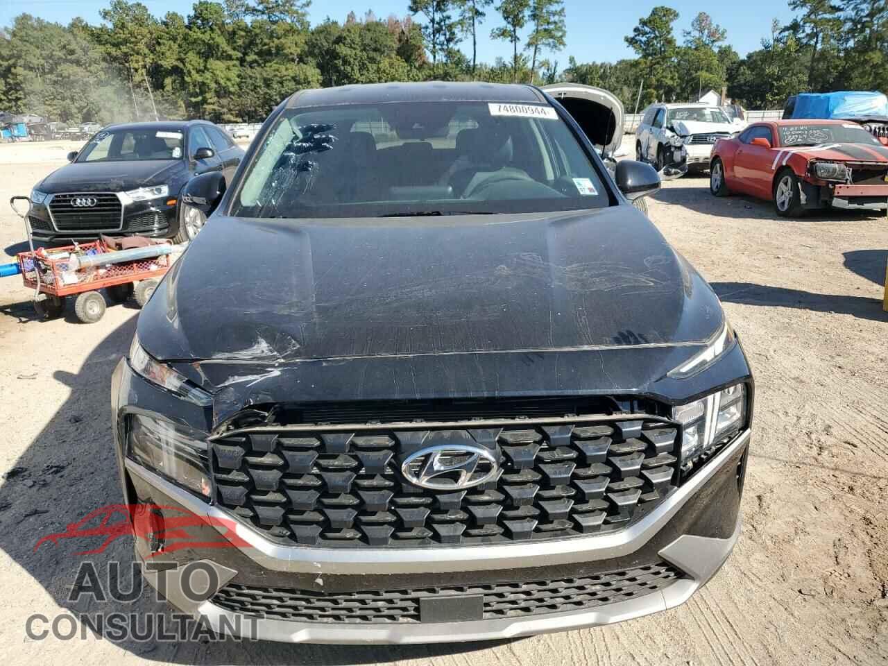 HYUNDAI SANTA FE 2023 - 5NMS14AJ2PH549200