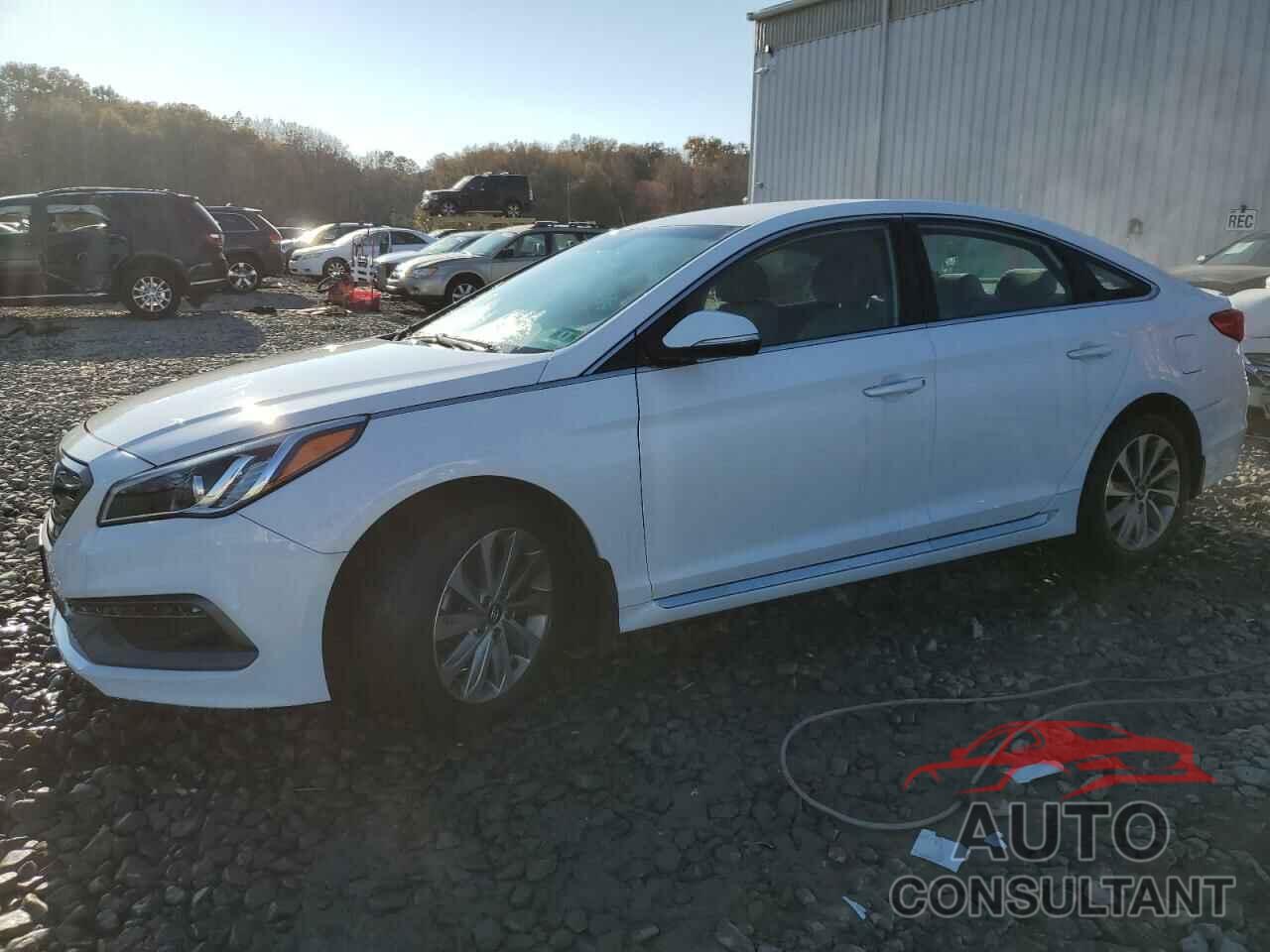 HYUNDAI SONATA 2016 - 5NPE34AF1GH425926