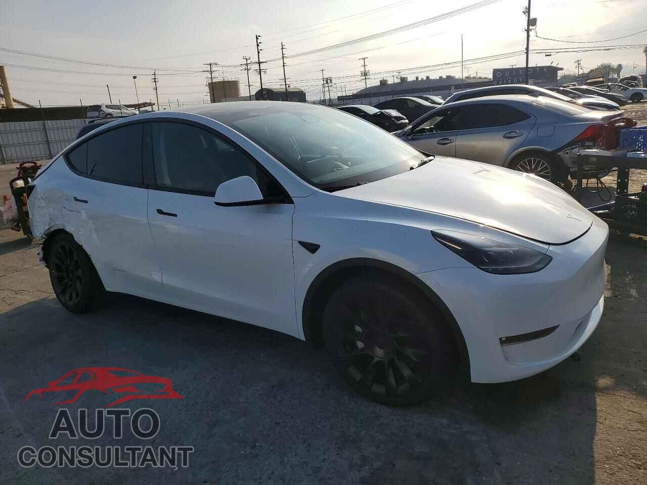 TESLA MODEL Y 2024 - 7SAYGAEE0RF063822