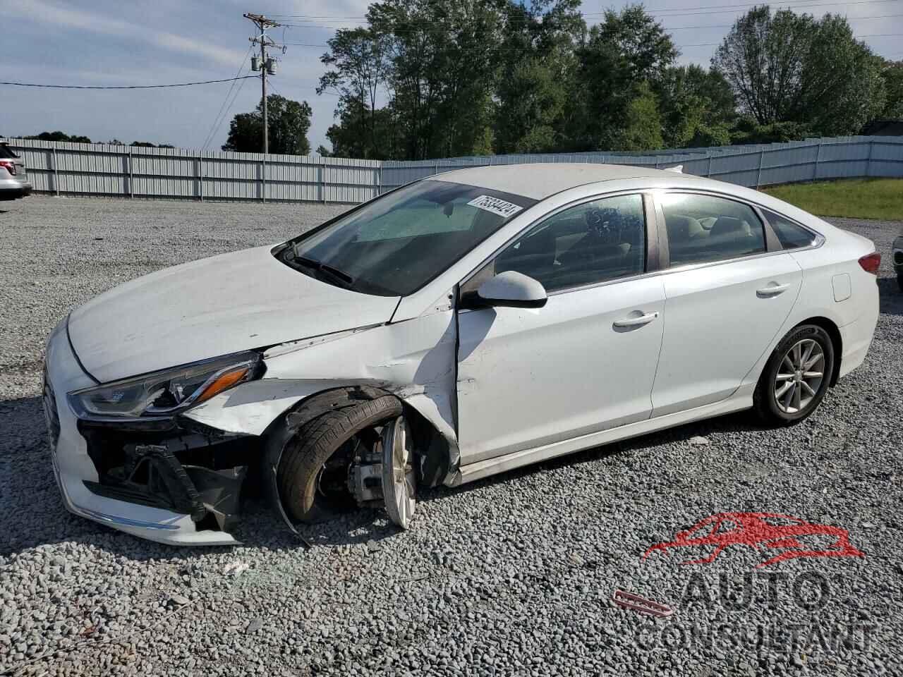 HYUNDAI SONATA 2019 - 5NPE24AF9KH761528