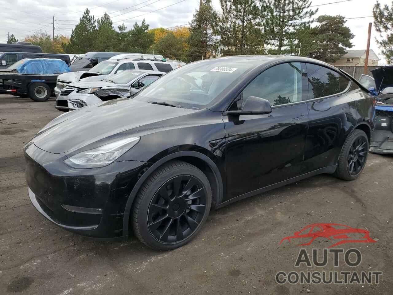 TESLA MODEL Y 2022 - 7SAYGAEE7NF573563