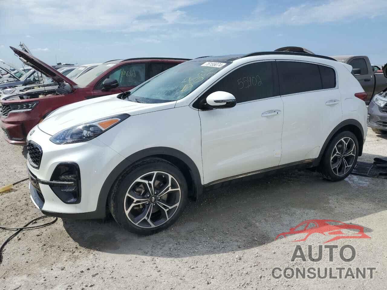 KIA SPORTAGE 2022 - KNDPR3A67N7951481