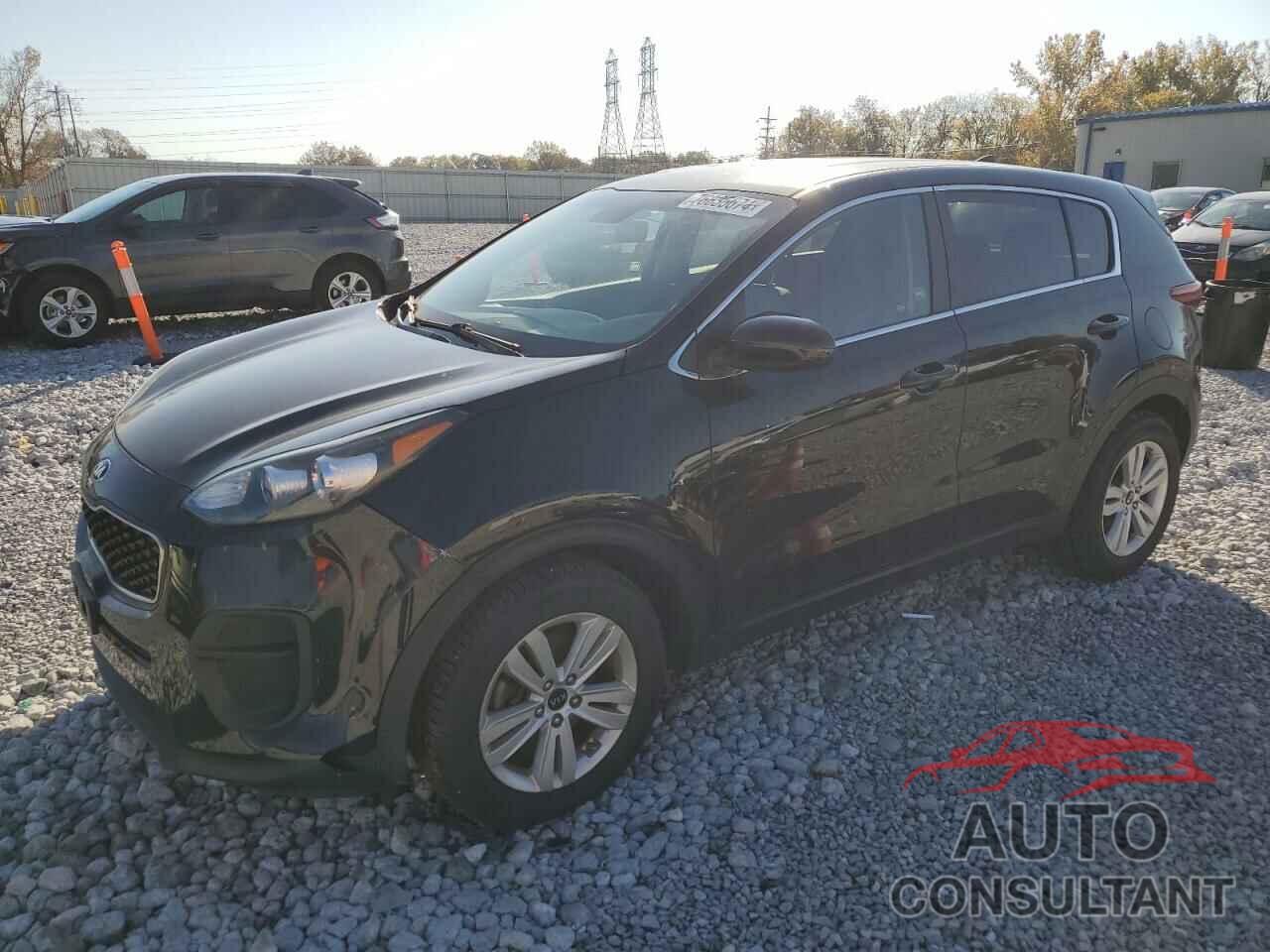 KIA SPORTAGE 2017 - KNDPM3AC3H7135408