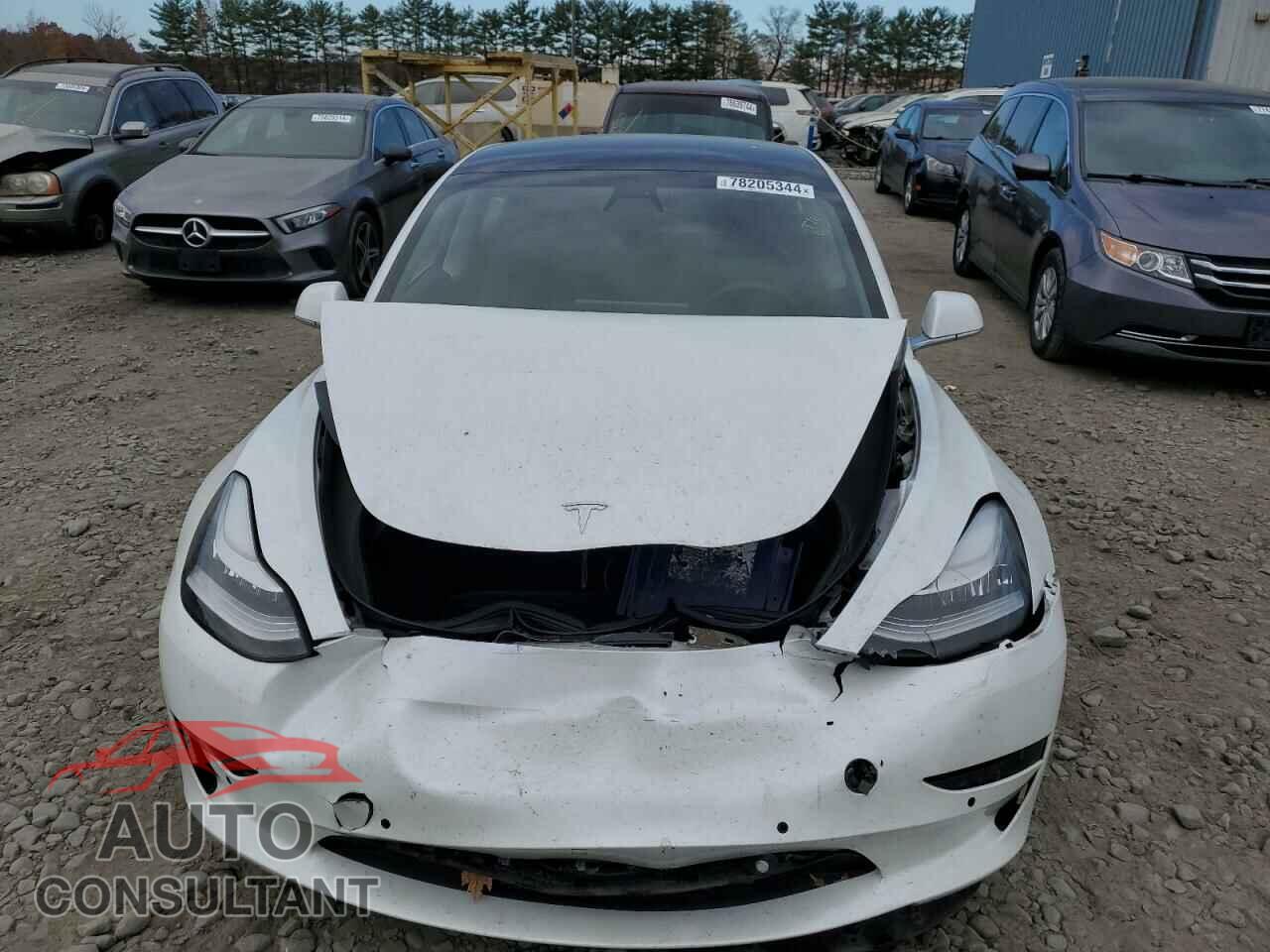 TESLA MODEL 3 2020 - 5YJ3E1EB9LF664964