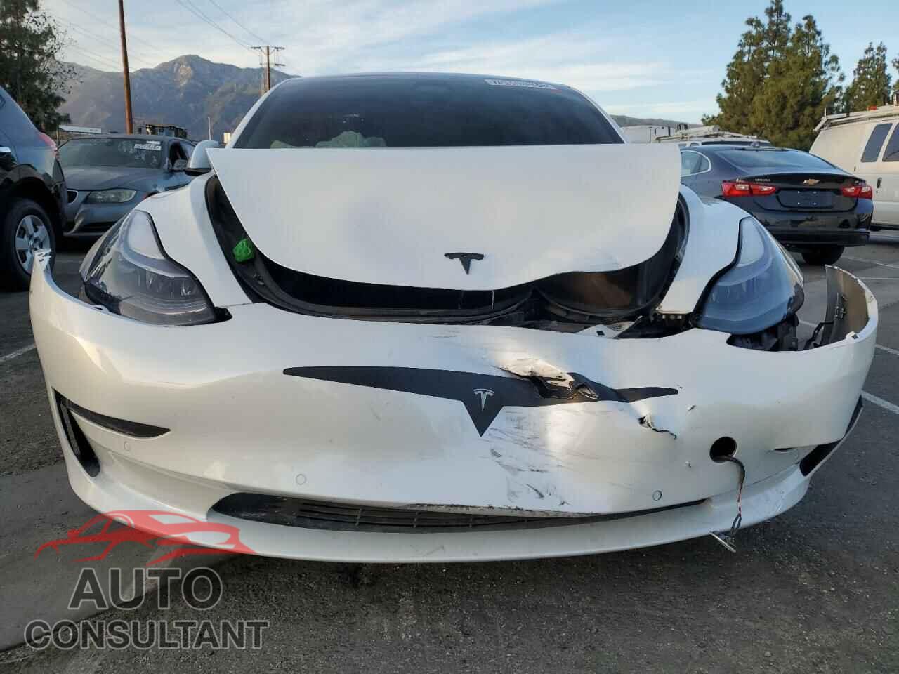 TESLA MODEL 3 2021 - 5YJ3E1EA4MF006414