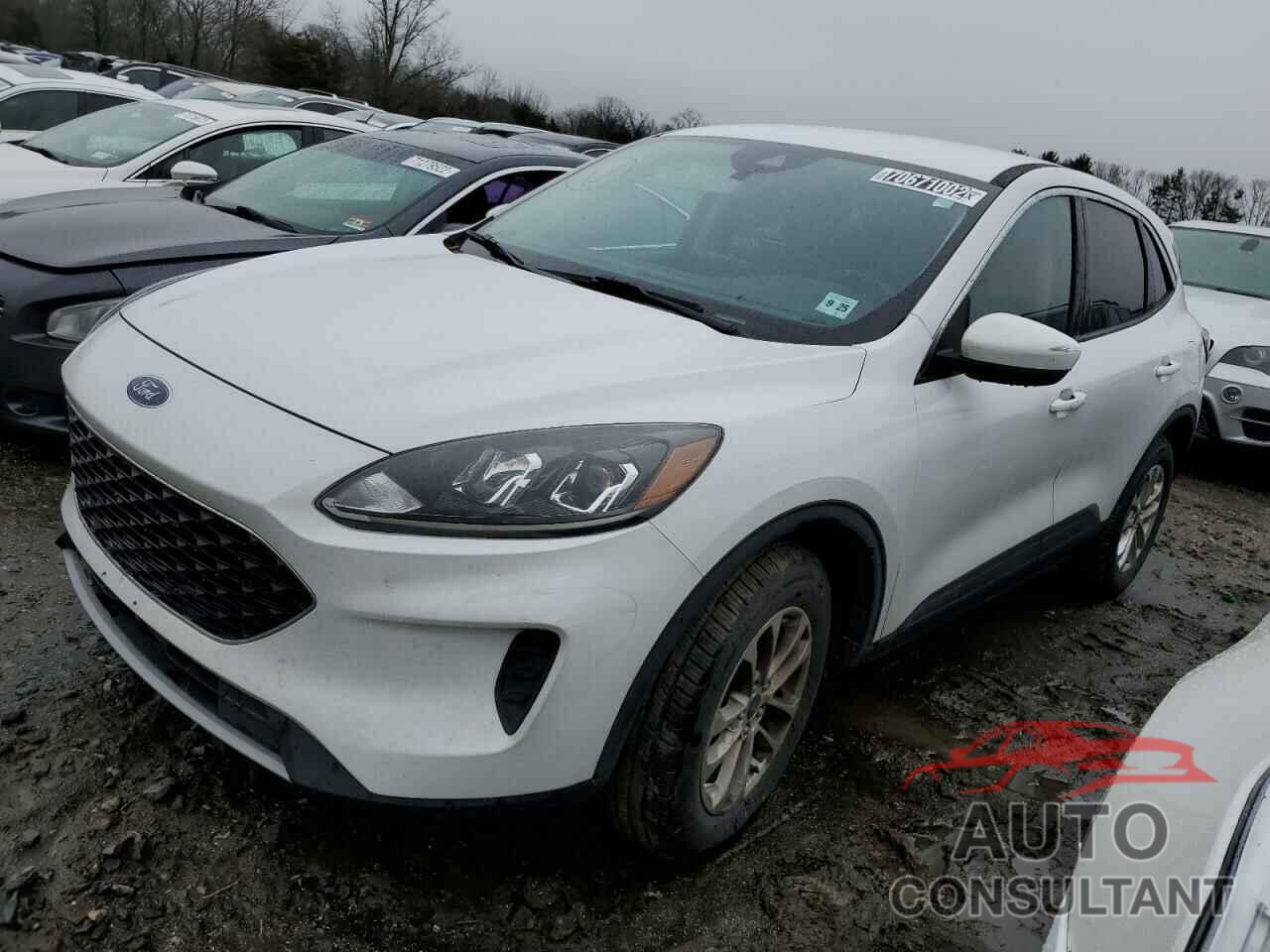 FORD ESCAPE 2020 - 1FMCU9G63LUB46417
