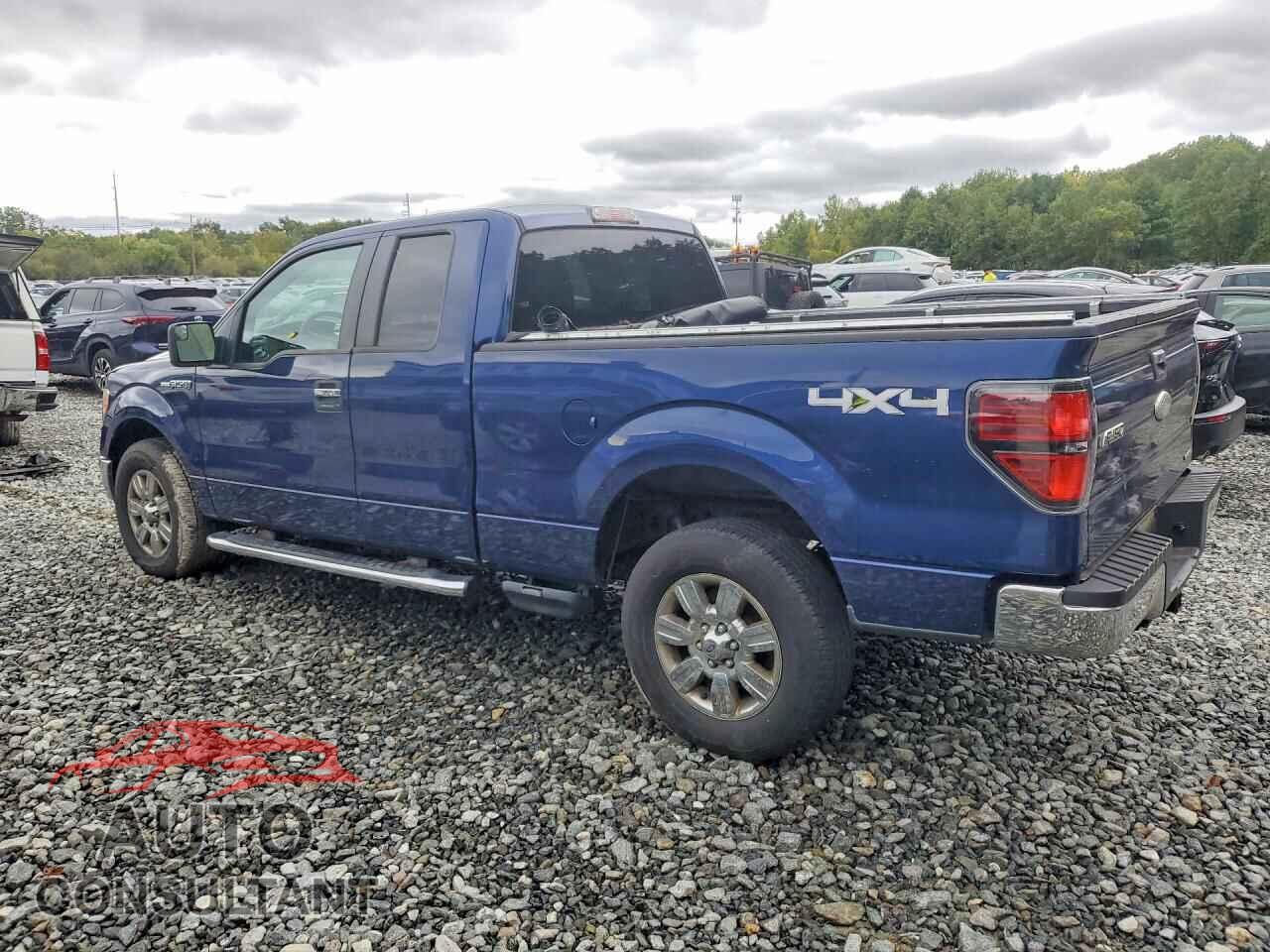 FORD F150 2011 - 1FTFX1EF3BFC33041