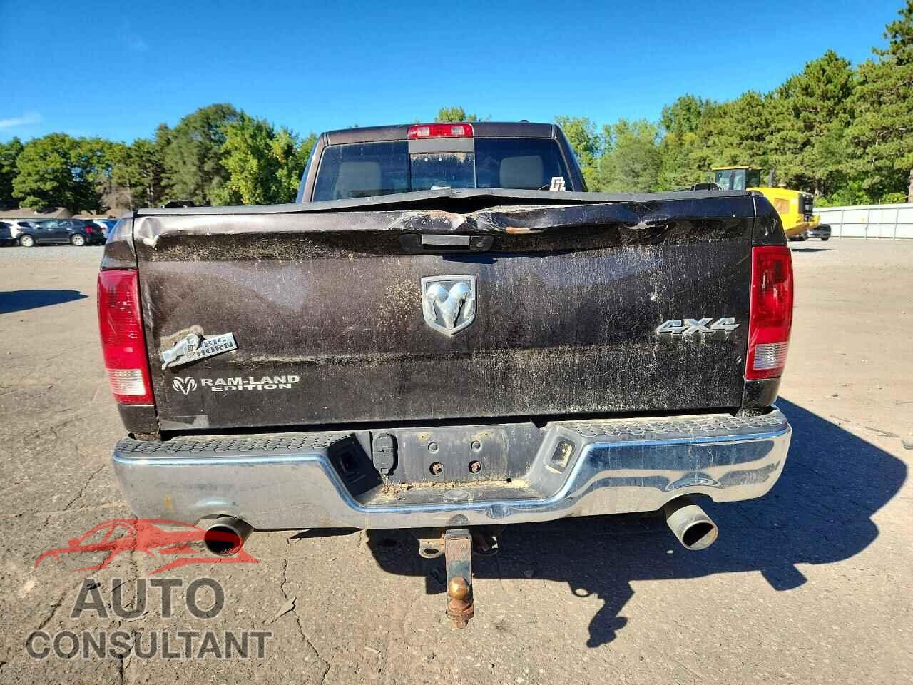 DODGE RAM 1500 2011 - 1D7RV1GT9BS556996