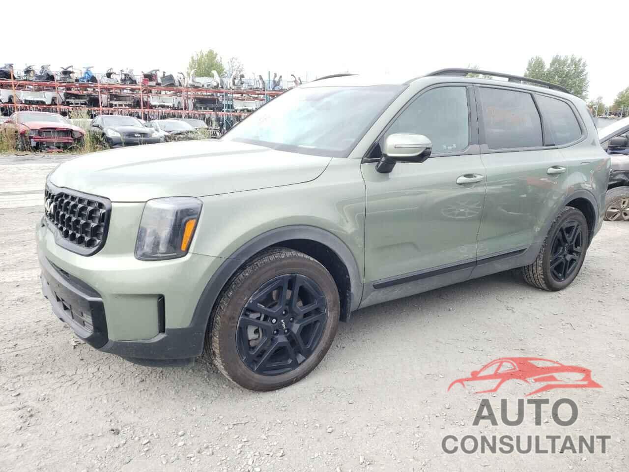 KIA TELLURIDE 2024 - 5XYP5DGC9RG497693