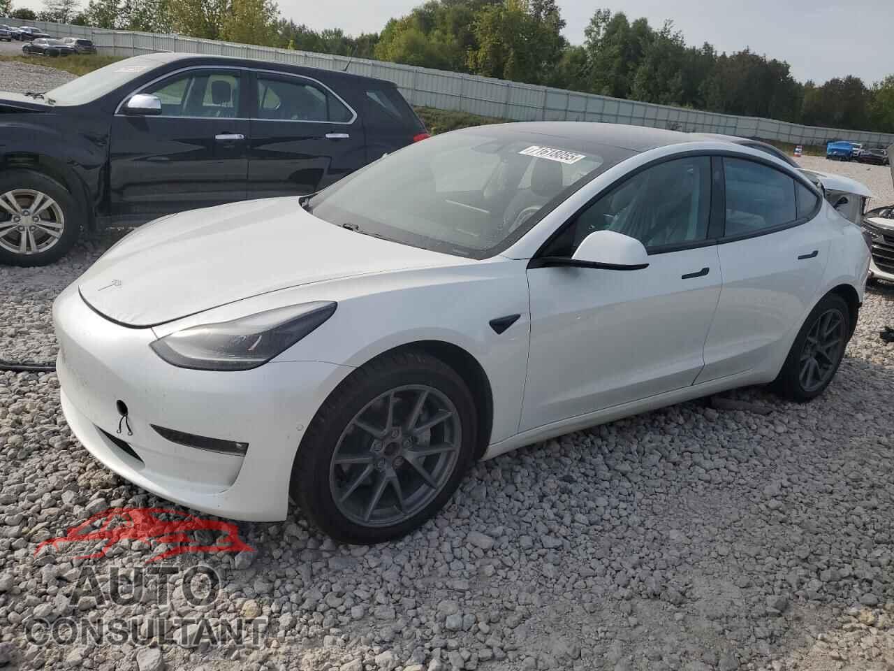 TESLA MODEL 3 2021 - 5YJ3E1EB9MF869637