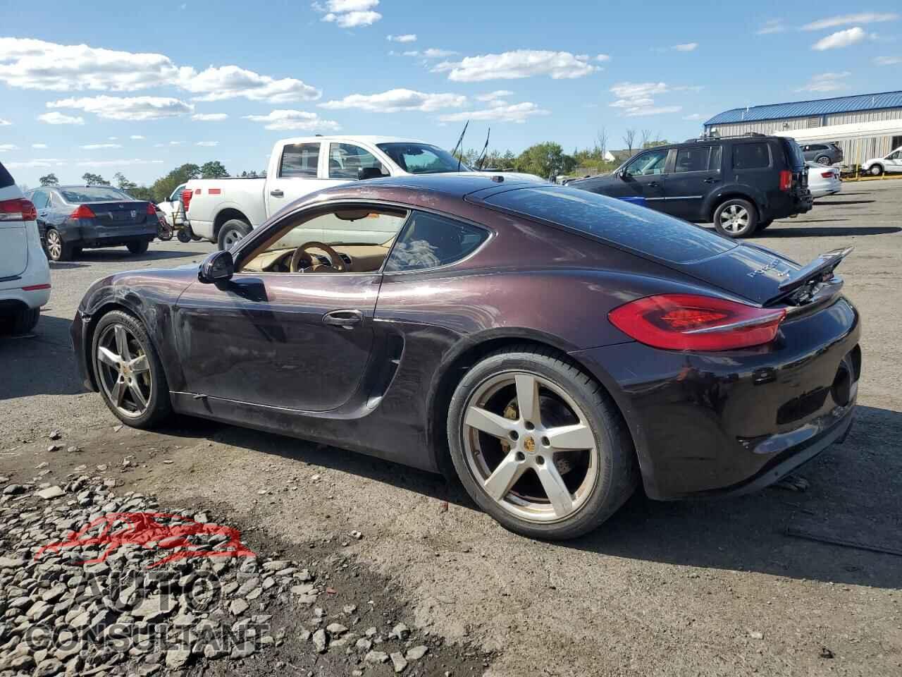 PORSCHE CAYMAN 2015 - WP0AA2A87FK163825
