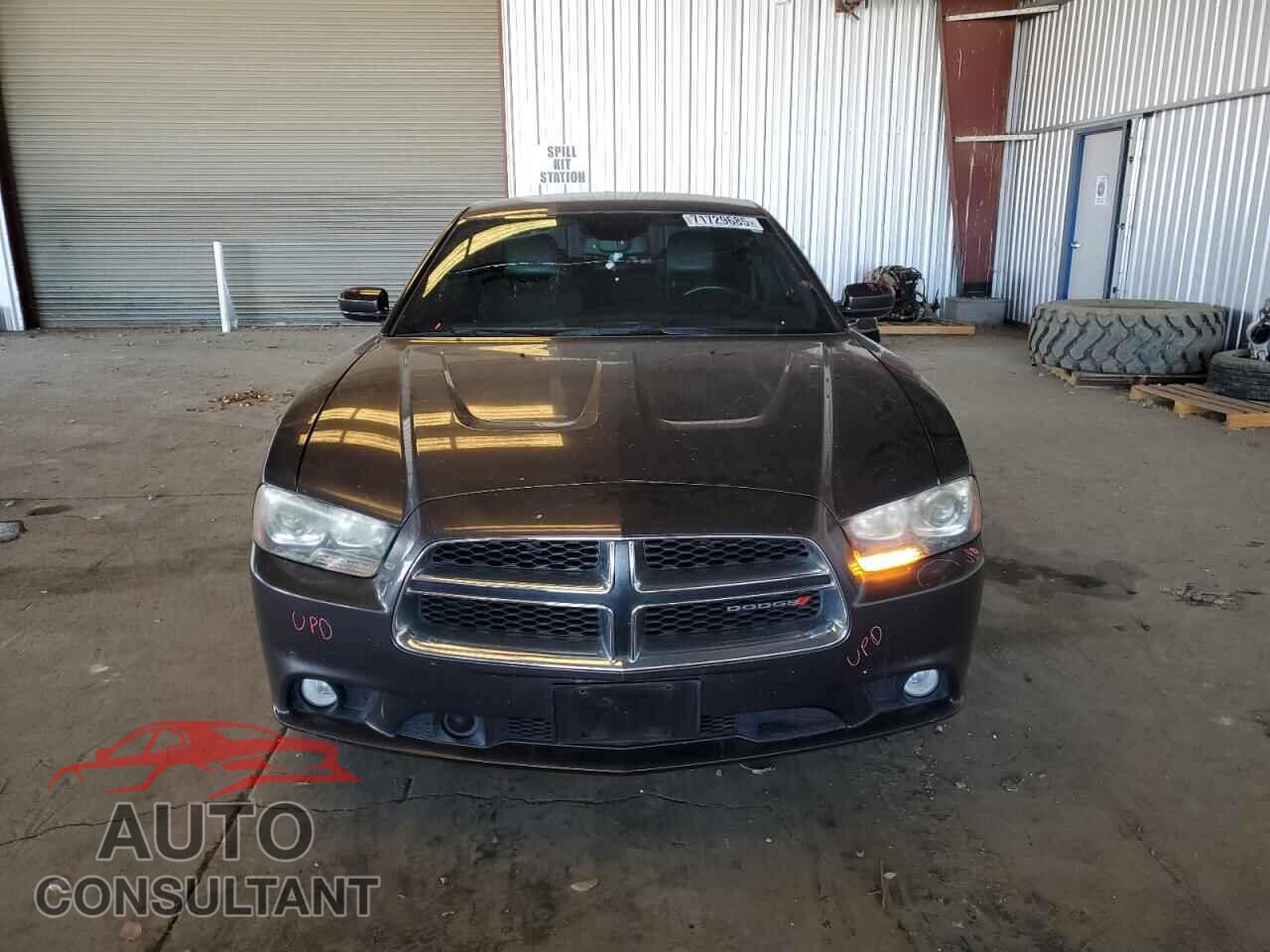 DODGE CHARGER 2014 - 2C3CDXCT8EH271556