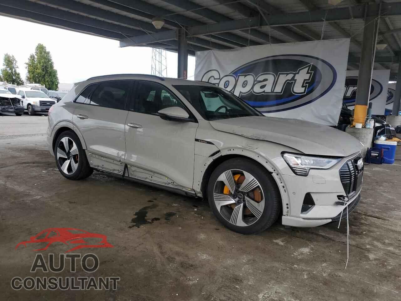 AUDI E-TRON 2022 - WA1LAAGE2NB032102