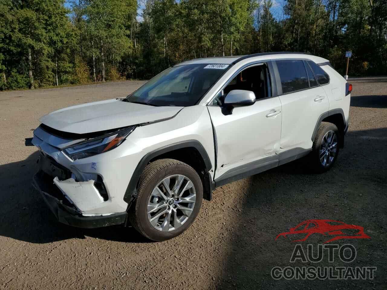 TOYOTA RAV4 2024 - 2T3R1RFV1RW439762